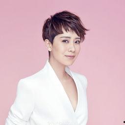 如何娱乐圈新人,闪耀星途的璀璨新星