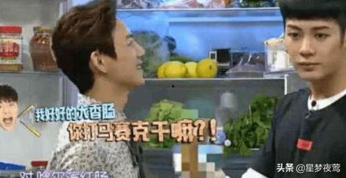 网红何某 综艺节目,揭秘网红背后的生活点滴