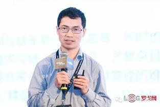 罗戈资料,揭秘科技巨头背后的创新与挑战